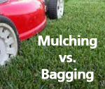 Mulching vs. Bagging Grass